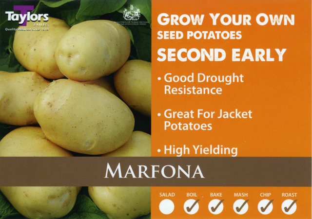 Taylors Bulbs Taylor's Bulbs Seed Potatoes Marfona 2kg