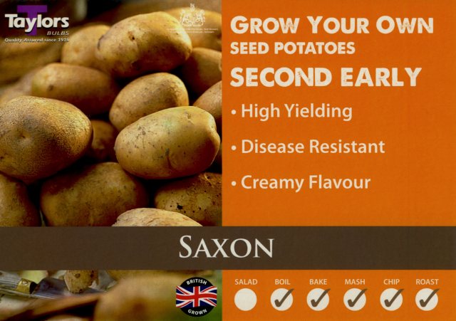 Taylors Bulbs Taylor's Bulbs Seed Potatoes Saxon 2kg