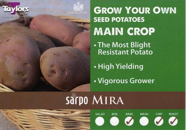 Taylors Bulbs Taylor's Bulbs Seed Potatoes Sarpo Mira 2kg