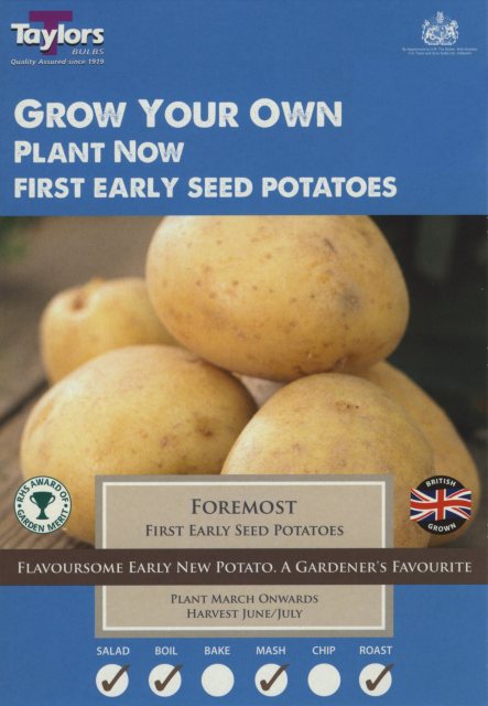 Taylors Bulbs Taylo's Bulbs Seed Potatoes Foremost 10 Pack