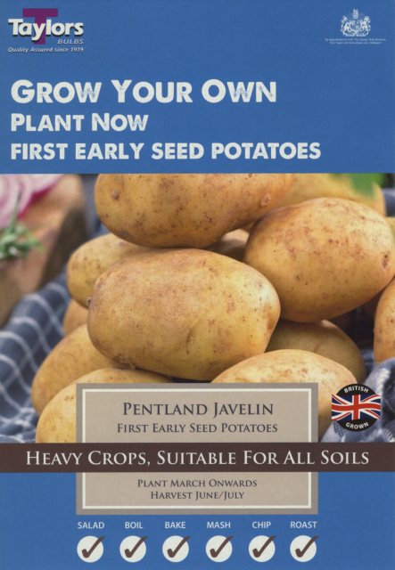 Taylors Bulbs Taylor's Bulbs Seed Potatoes Pentland Javelin 10 Pack