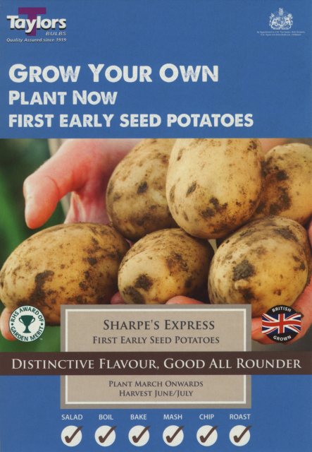 Taylors Bulbs Taylor's Bulbs Seed Potatoes Sharpe's Express 10 Pack