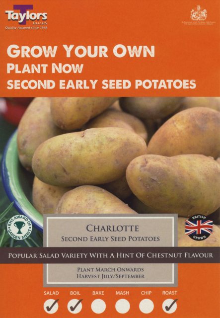 Taylors Bulbs Taylor's Bulbs Seed Potatoes Charlotte 10 Pack