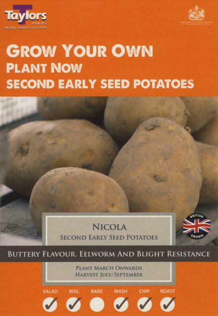 Taylors Bulbs Taylor's Bulbs Seed Potatoes Nicola 10 Pack