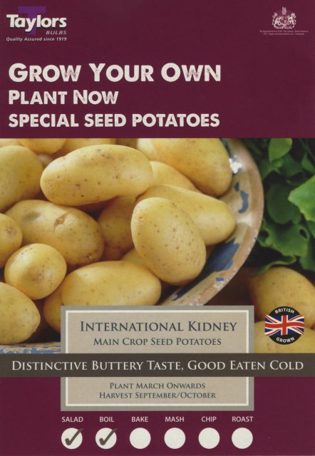 Taylors Bulbs Taylor's Bulbs Seed Potatoes International Kidney 10 Pack