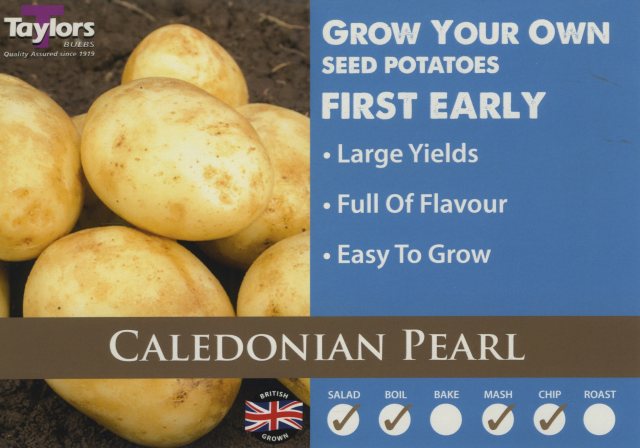 Taylors Bulbs Taylor's Bulbs Seed Potatoes Caledonian Pearl 2kg