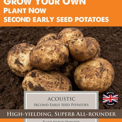 Taylors Bulbs Taylor's Bulbs Seed Potatoes Acoustic 10 Pack