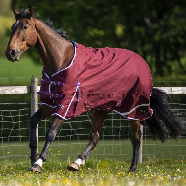 Gallop Equestrian Trojan Xtra Lightweight Turnout Rug Burgundy