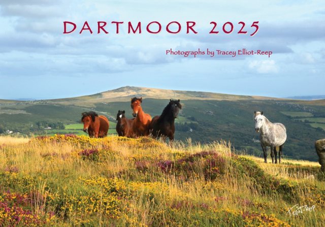 Tracey Elliot Dartmoor 2025 Calendar