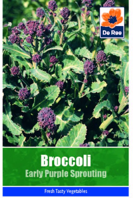 De Ree Broccoli Early Purple Sprouting Seeds