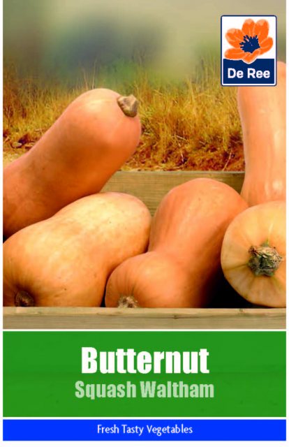 De Ree Butternut Squash Waltham Seeds