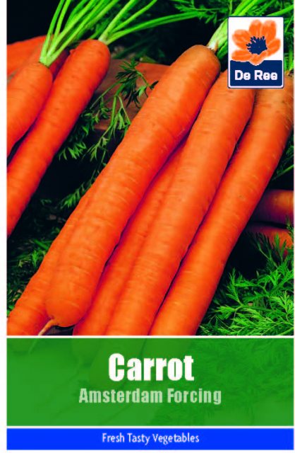 De Ree Carrot Amsterdam Forcing Seeds