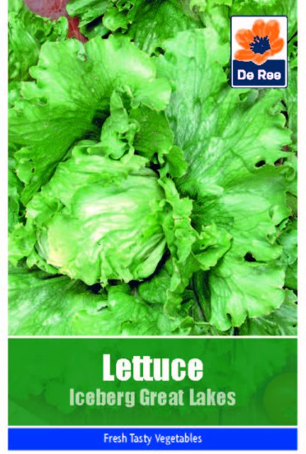 De Ree Lettuce Iceberg Great Lakes Seeds