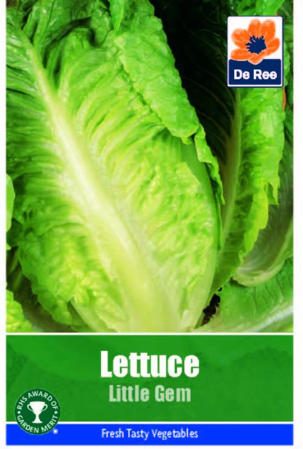 De Ree Lettuce Little Gem Seeds