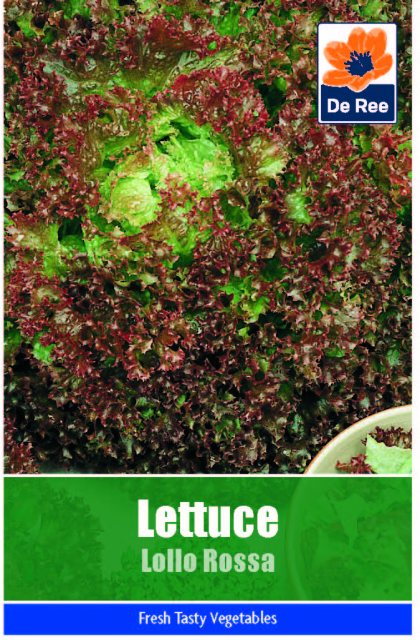 De Ree Lettuce Lollo Rossa Seeds