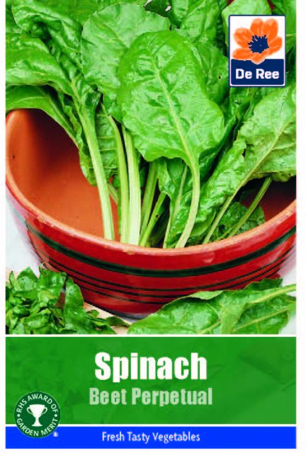 De Ree Spinach Beet Perpetual Seeds