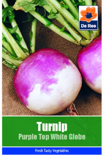 De Ree Turnip Purple Top White Globe Seeds