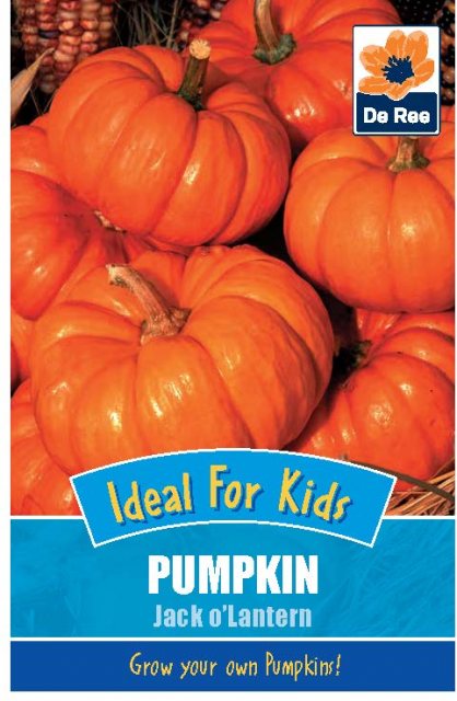 De Ree Pumpkin Jack O'Lantern Seeds