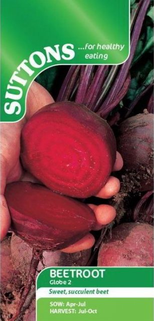 SUTTONS Suttons Beetroot Globe 2 Seeds