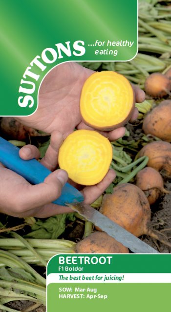 SUTTONS Suttons Beetroot F1 Boldor Seeds