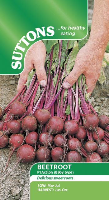 SUTTONS Beetroot F1 Action Seeds