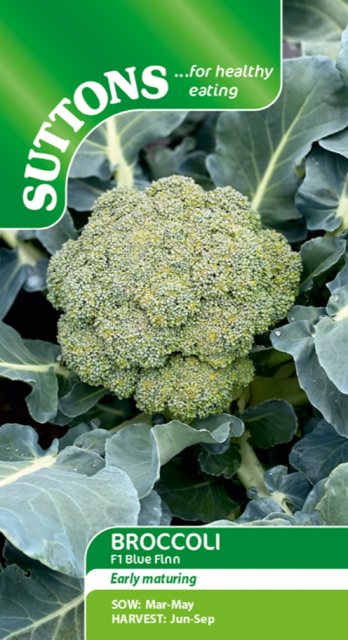 SUTTONS Suttons Broccoli Blue Finn F1 Seeds