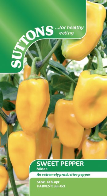 SUTTONS Suttons Sweet Pepper Midas Seeds