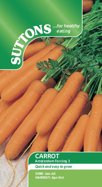 SUTTONS Carrot Amsterdam Forcing 3 Seeds