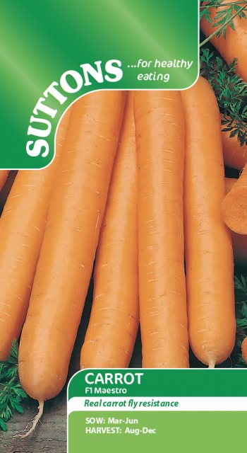 SUTTONS Carrot F1 Maestro Seeds