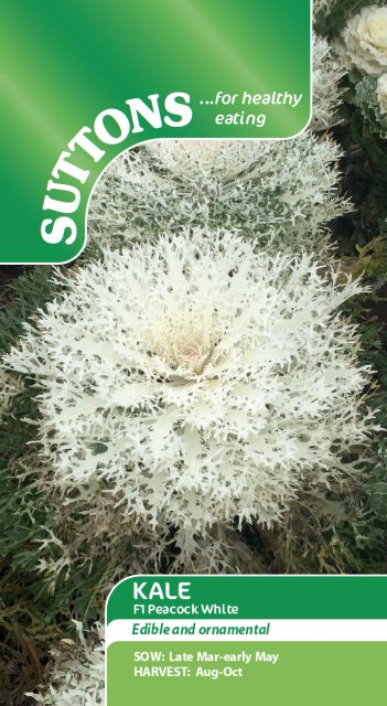 SUTTONS Kale F1 Peacock White Seeds