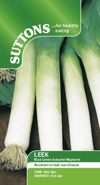 SUTTONS Suttons Leek Blue Green Autumn Neptune Seeds