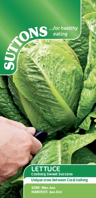 SUTTONS Suttons Lettuce Cosberg Sweet Success F1 Seeds