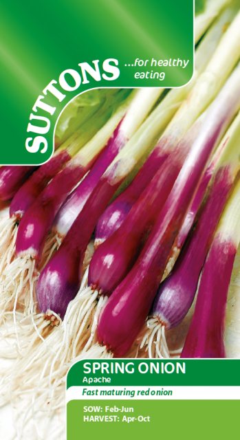 SUTTONS Salad Onion Apache Seeds