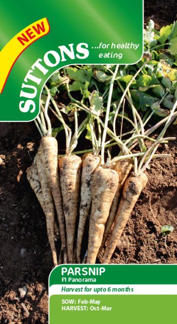 SUTTONS Suttons Parsnip F1 Panorama Seeds