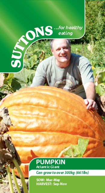 SUTTONS Suttons Pumpkin Atlantic Giant Seeds