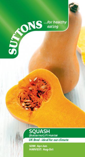 SUTTONS Squash F1 Butternut Hunter Seeds