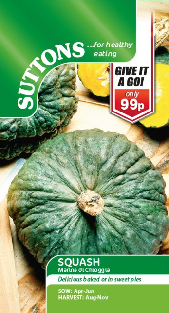 SUTTONS Squash Marina Di Chioggia Seeds