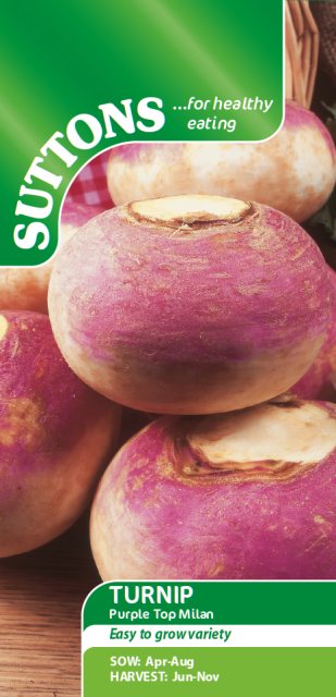 SUTTONS Turnip Purple Top Milan Seeds