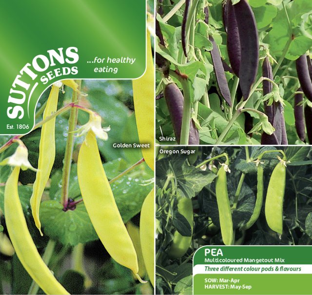 SUTTONS Pea Mangetout Multicolour Mix Seeds