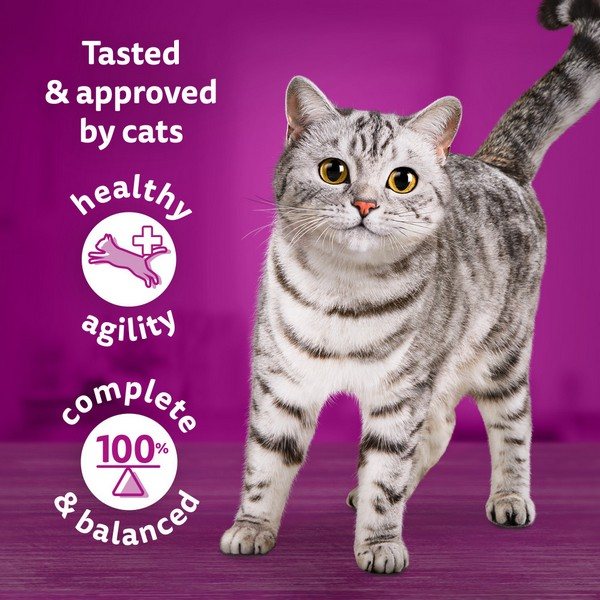 Tasty choice hot sale cat food