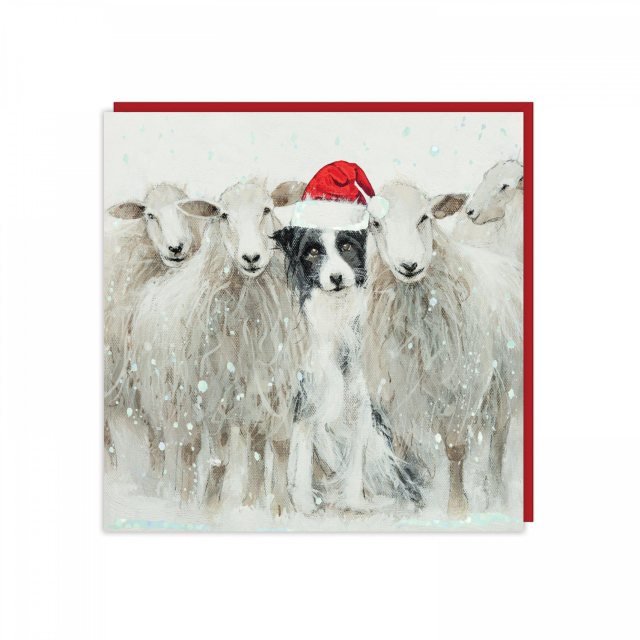 Christmas Card Centre Stage 6 Pack