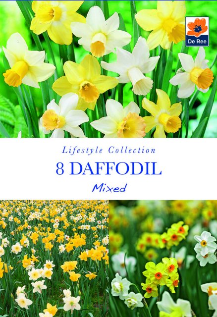 De Ree De Rees Daffodil Mixed Bulbs