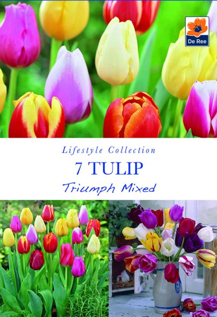 De Ree De Rees Tulip Triumph Mixed Bulbs