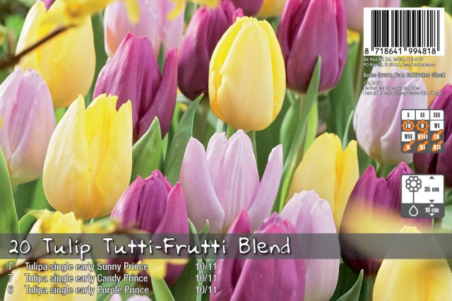 De Ree De Rees Tulip Tutti Frutti Blend Bulbs