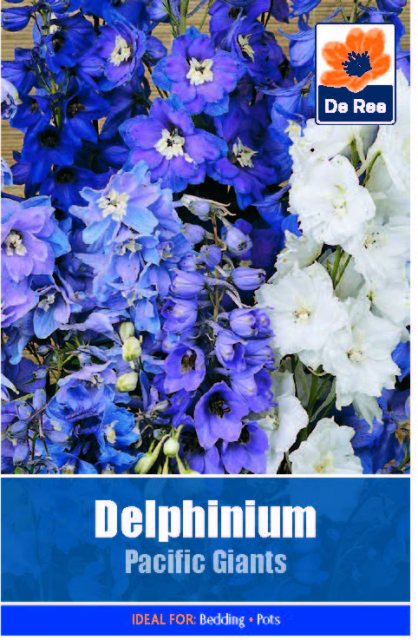 De Ree Delphinium Pacific Giant Seed