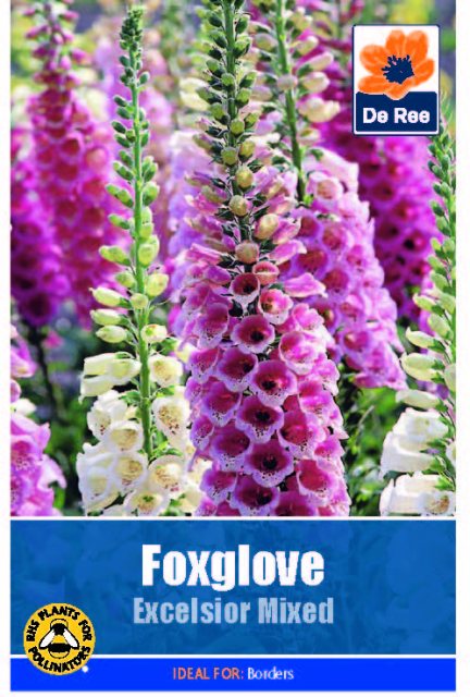 De Ree Foxglove Excelsior Mixed Seed