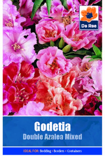 De Ree Godetia Double Azalea Seed