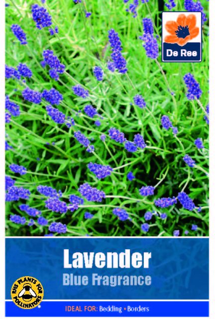 De Ree Lavender Blue Fragrance Seed