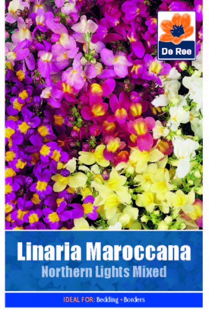 De Ree Linaria Maroccana Northern Lights Mixed