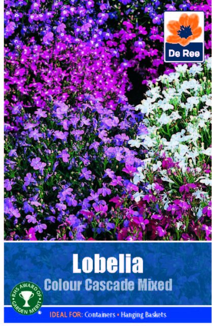 De Ree Lobelia Colour Cascade Mixed